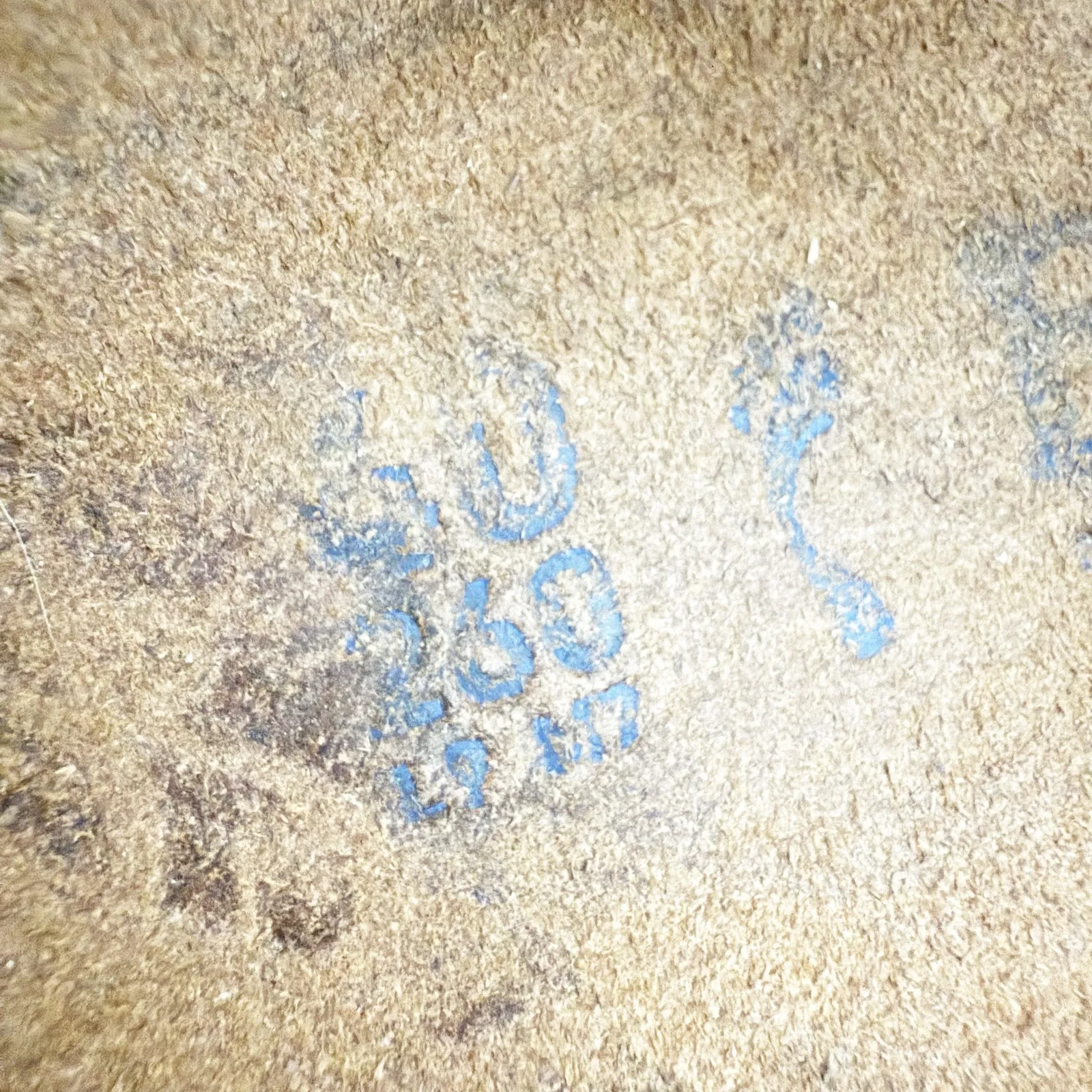 BETULA x BIRKENSTOCK | Leo Soft Sandals Metallic Metal Silver White | Size 40 - Image 7