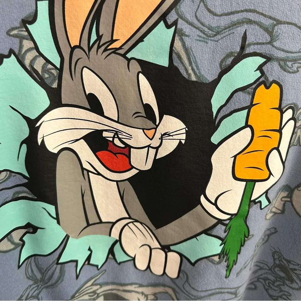 Looney Tunes classic retro pullover hoodie size Medium or 7/9 Juniors Blue - Image 4