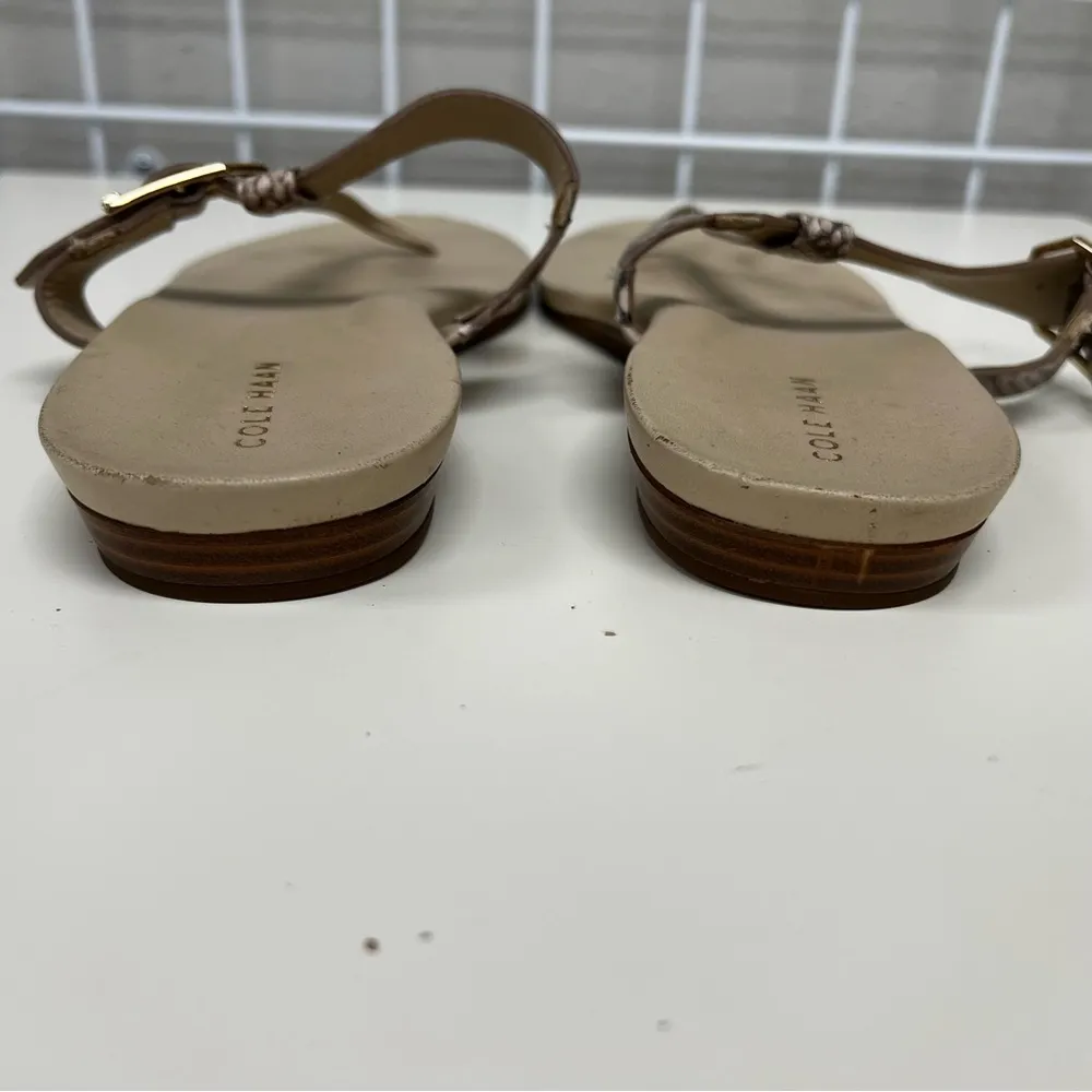 Cole Haan snakeskin T Strap Sandals - Size 11 - Image 6