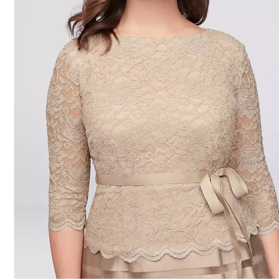 Alex Evenings Champagne‎ Glitter Lace Striped Organza Midi Party Dress Size 6 - Image 2