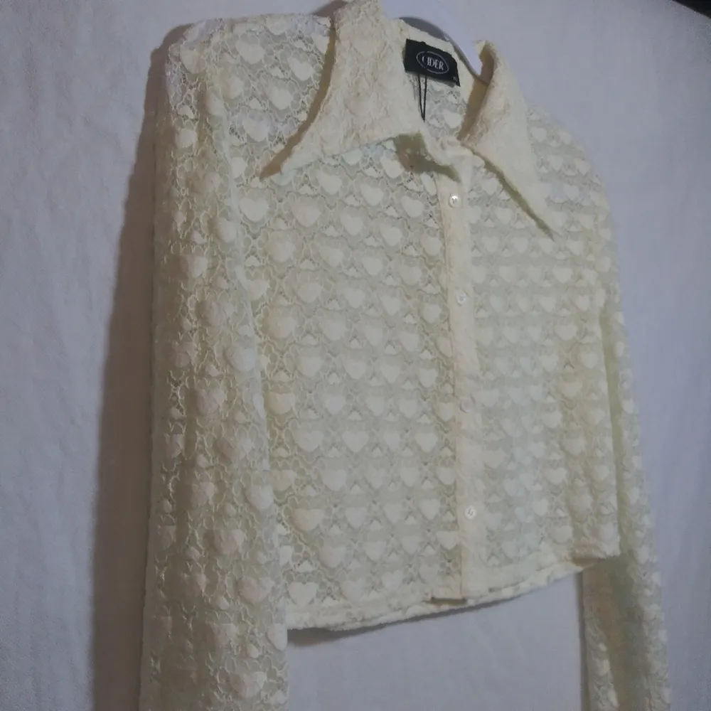 Cider Ivory Heart Lace Collar Crop Blouse Sheer Novelty  Size XL - Image 4