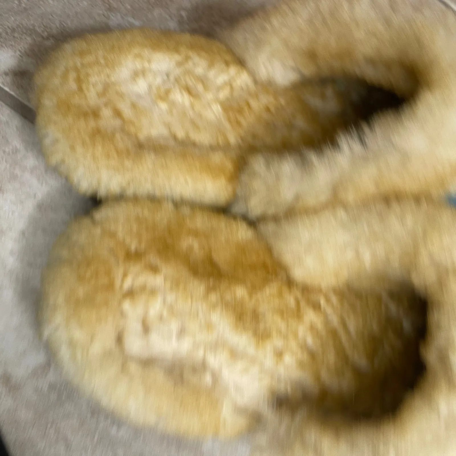 L.L. Bean Wicked Good Shearling Lined Slides Blue 10 Medium Slippes tried on EUC - Image 6