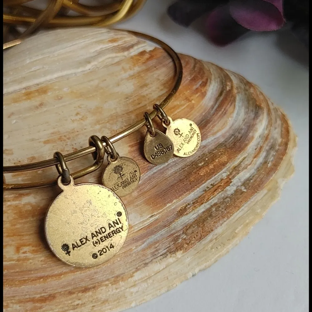 Alex and Ani Grandmother Charm Bracelet - Image 3