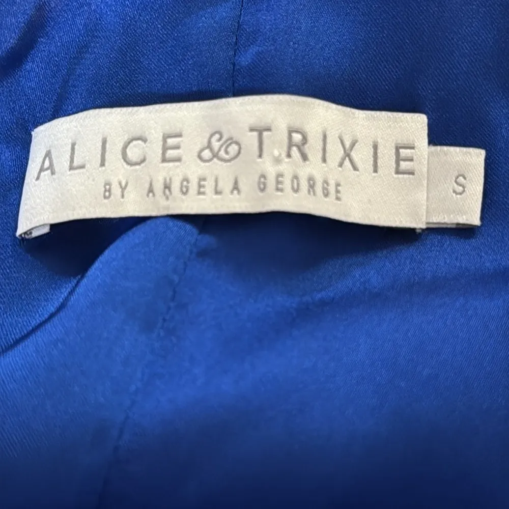 Alice & Trixie by Angela George woman size SMALL dress silk lining blue & pink - Image 7