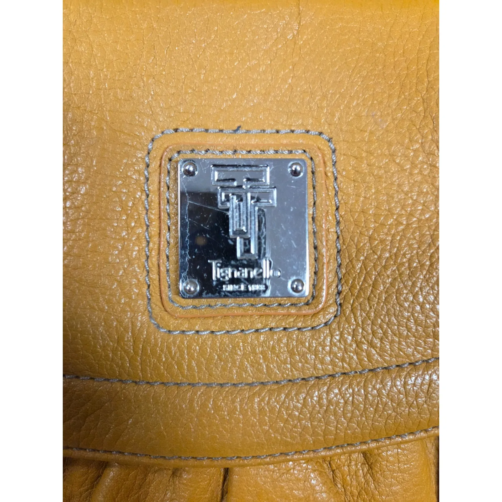 Tignanello Small Genuine Leather Crossbody Purse Autumn Fall Colors Gold Yellow - Image 2