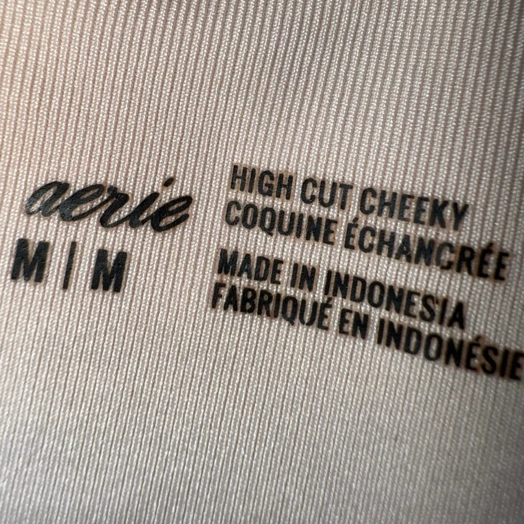 Neutral Striped Two Piece Bikini Set High Waisted Bottoms medium Aerie swimsuit - Image 2