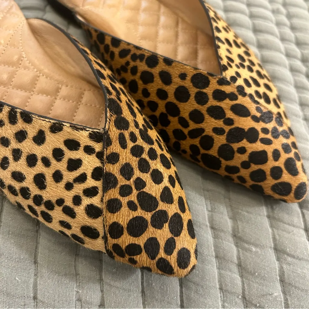 Birdies Cheetah Calf Hair Slide Pointed Toe Mules Flats Size 7.5 - Image 4
