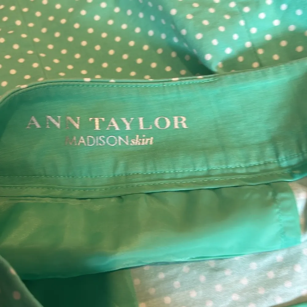 ANN TAYLOR polkadot Madison skirt - Image 5