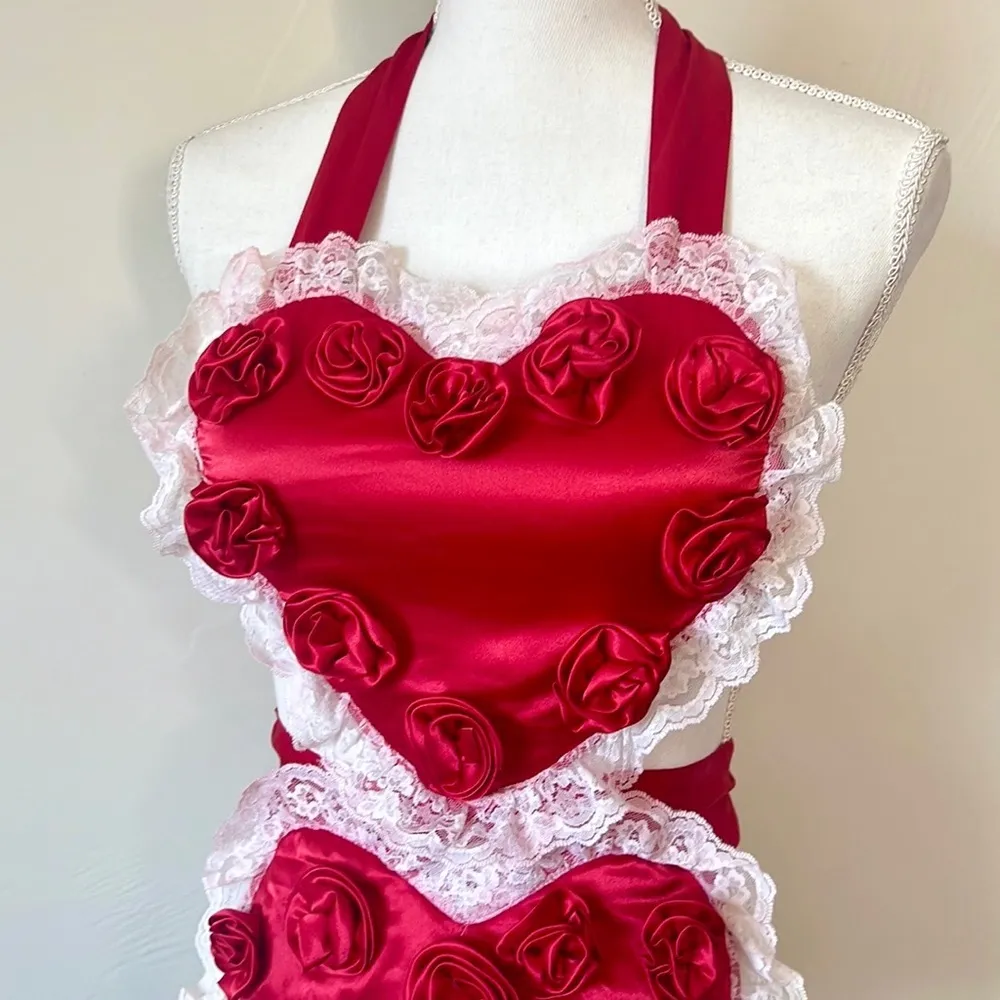 Victoria’s Secret Heart Rose Valentine Costume - Image 4