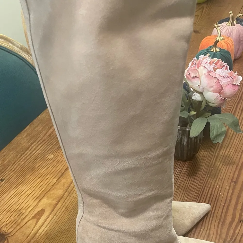 Schutz Suede Boots - Image 10