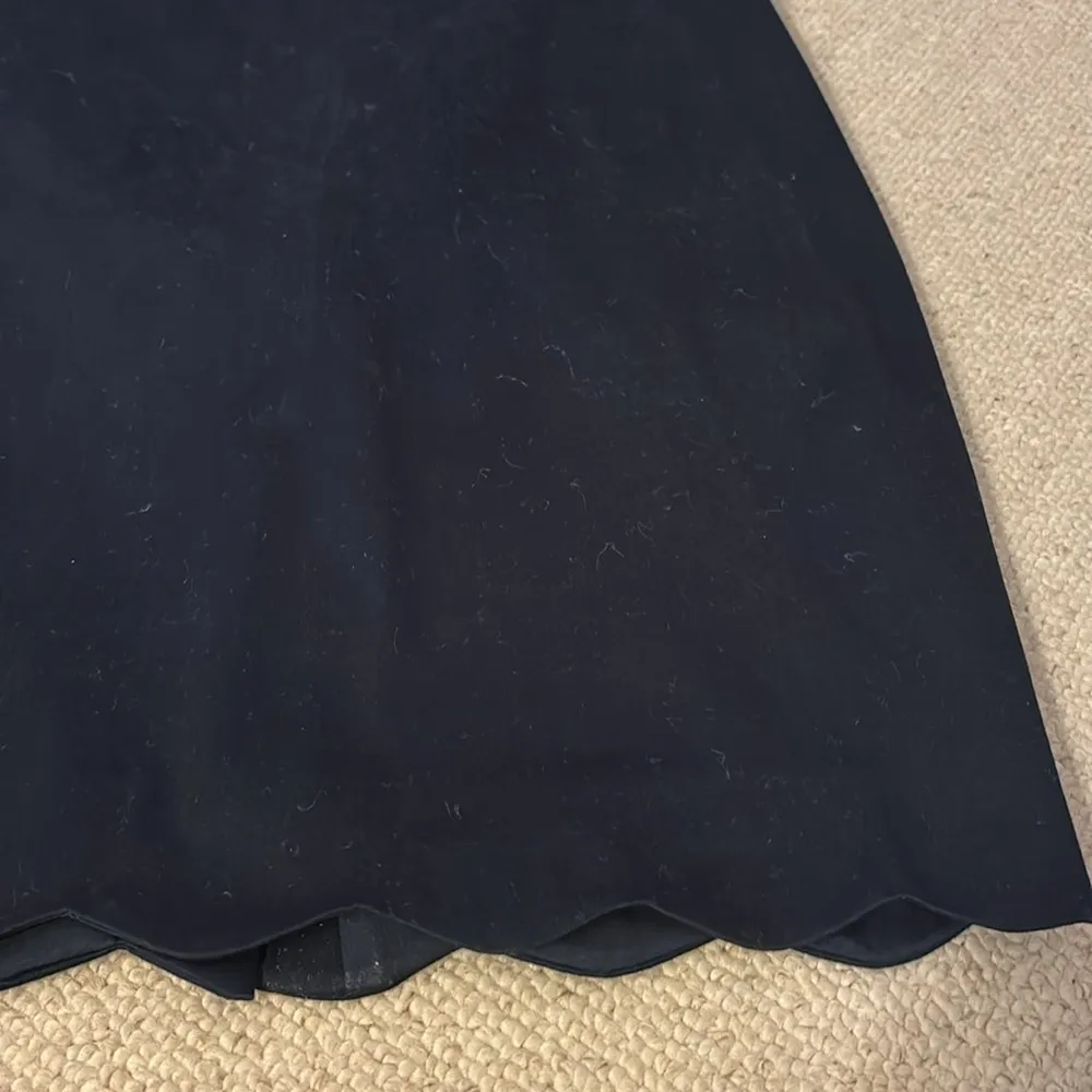 NWOT J. Crew Skirt - Image 2