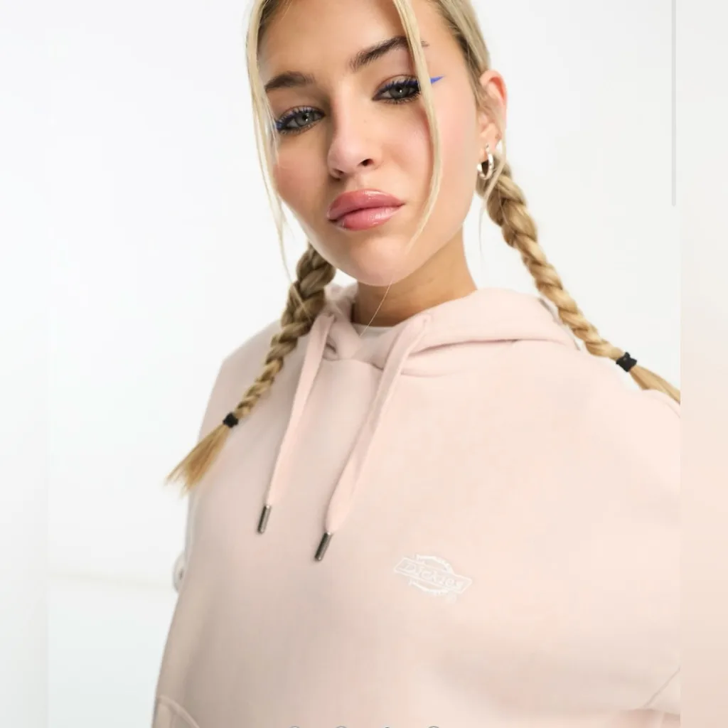 Dickies Summerdale Premium Oversized Hoodie - Image 3