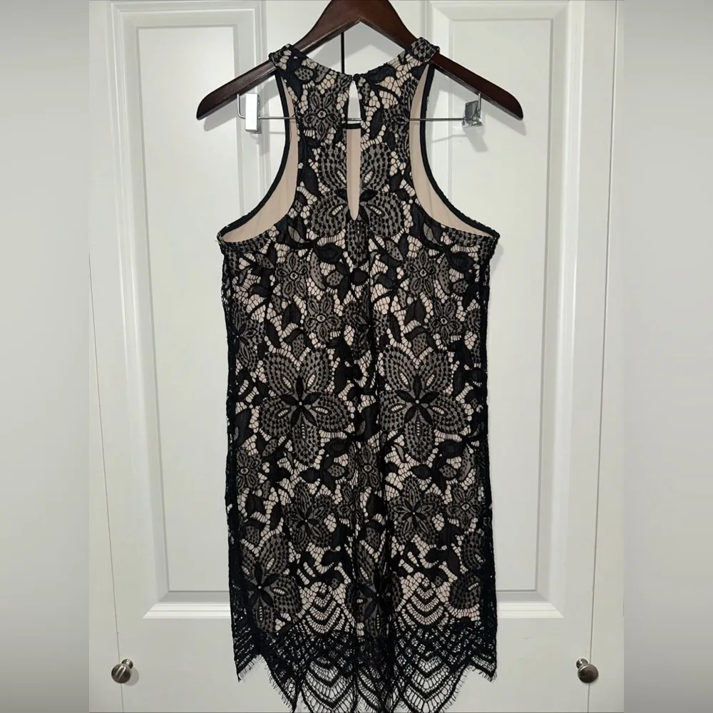 Express Lace Floral Sleeveless Mini Dress S - Image 4