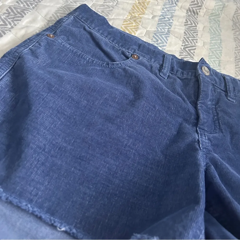 Gap blue velvet raw hem size 10 shorts - Image 2