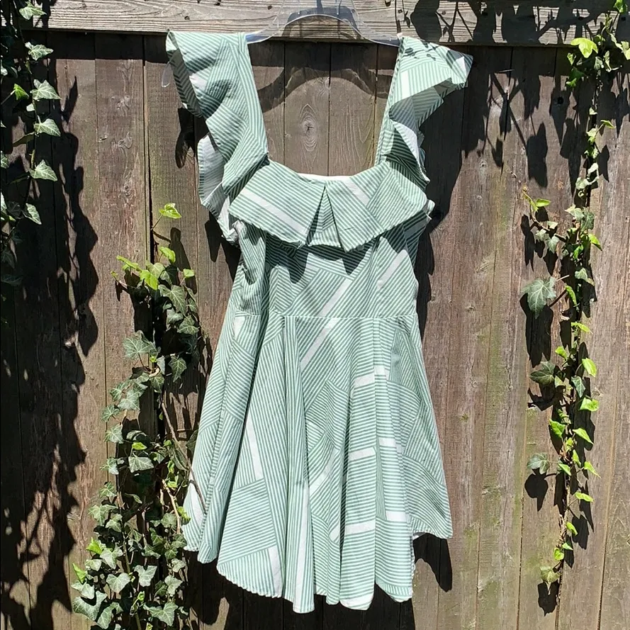 NWT Loveriche “tea and crumpets” dress In green - Image 2