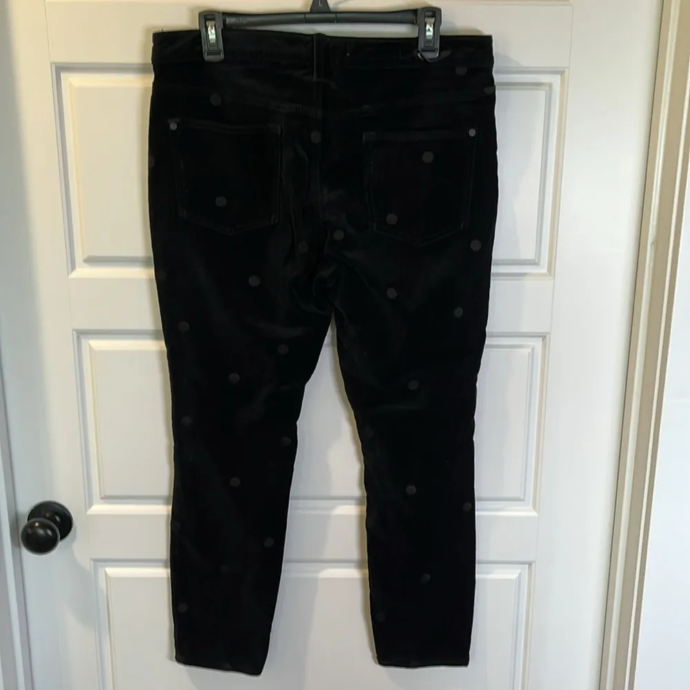 Pilcro  Mid-Rise velvet Embroidered Skinny Ankle Jeans 31 - Image 5