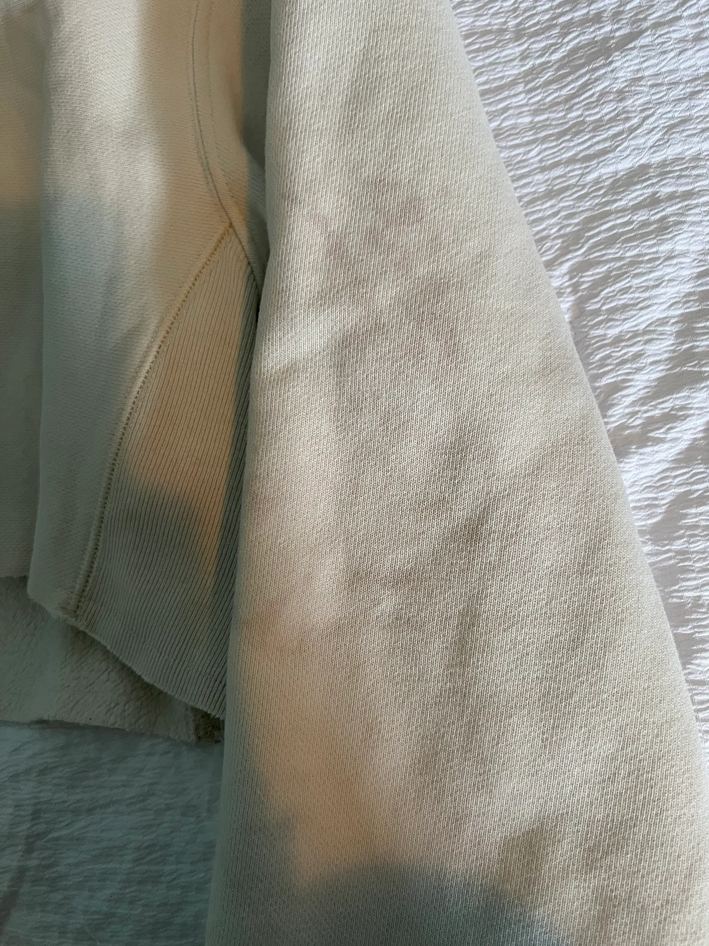 Champion Cropped Crew Neck Sweatshirt - Image 2