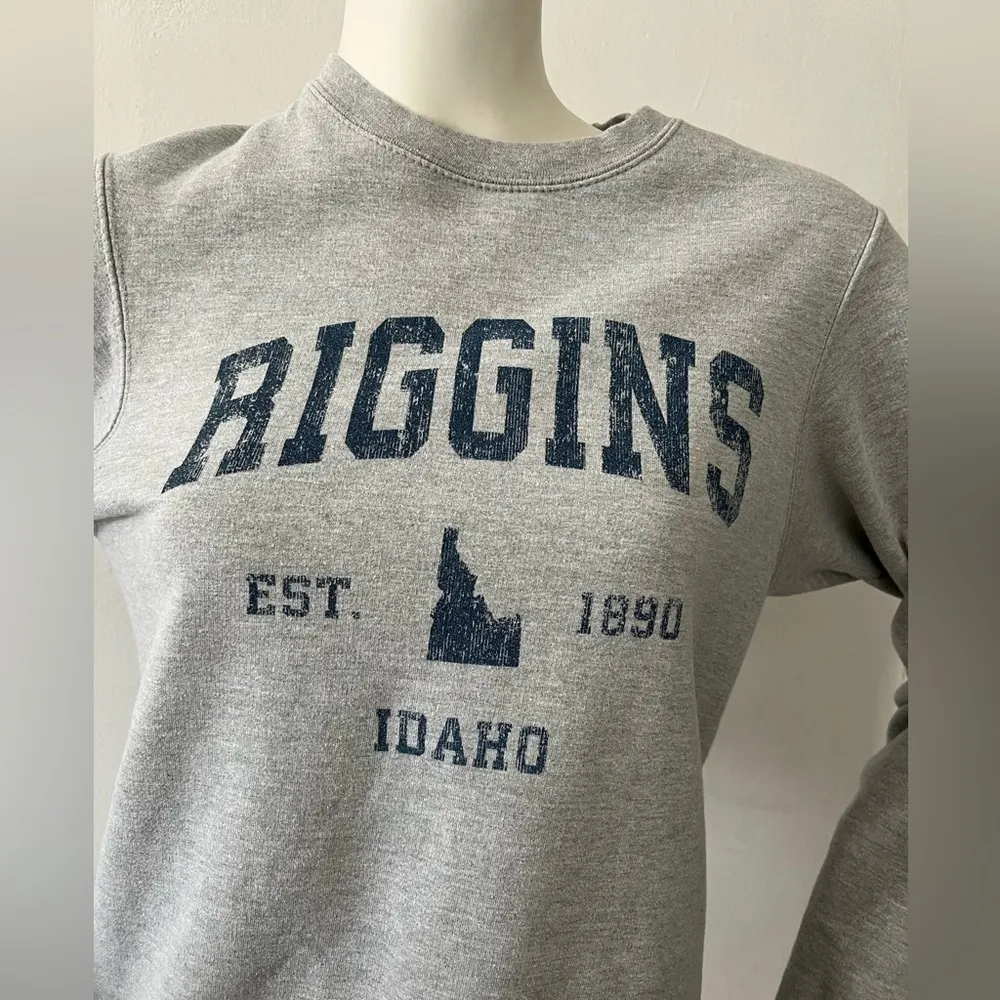 Vintage riggins Idaho soft grey crew neck pullover long sleeve cotton sweater S Blue - Image 3