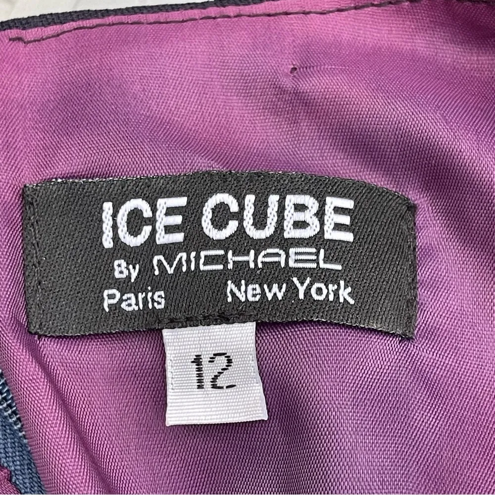 ICE Cube by Michael Paris New York business striped dress office Sz 12 - Image 13