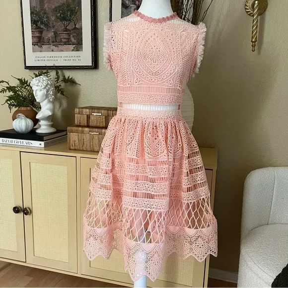 ALEXIS Sage‎ A Line Blossom Blush Pink Dress Cutout Wedding Guest Size XS - Image 3