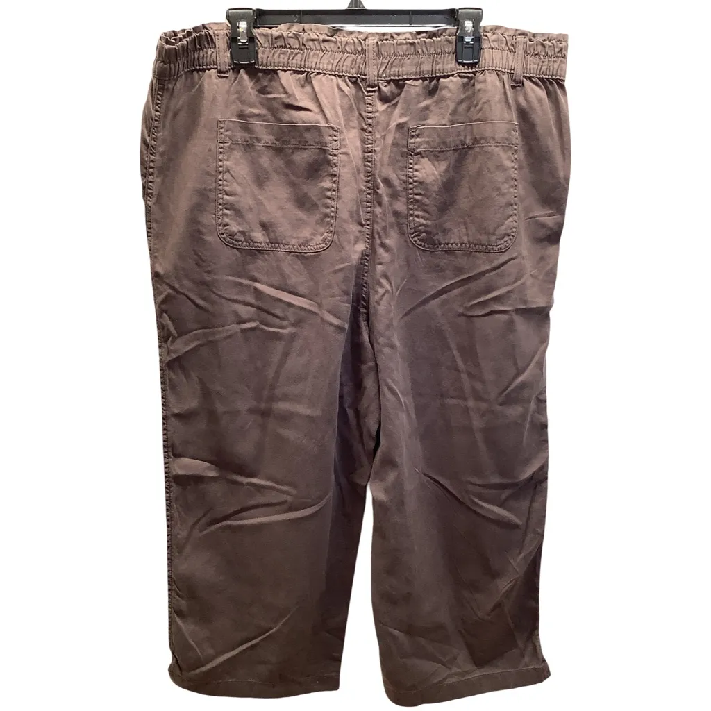Maurices Size XL Brown Button-Accent Crop Pants. New No Tag. - Image 3