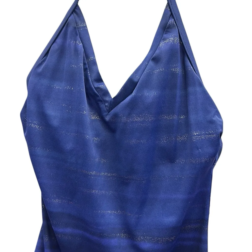 Jantzen  Classics Blue Silver Sparkle Stripe V Neck Shelf Bra One Piece Swimsuit - Image 4