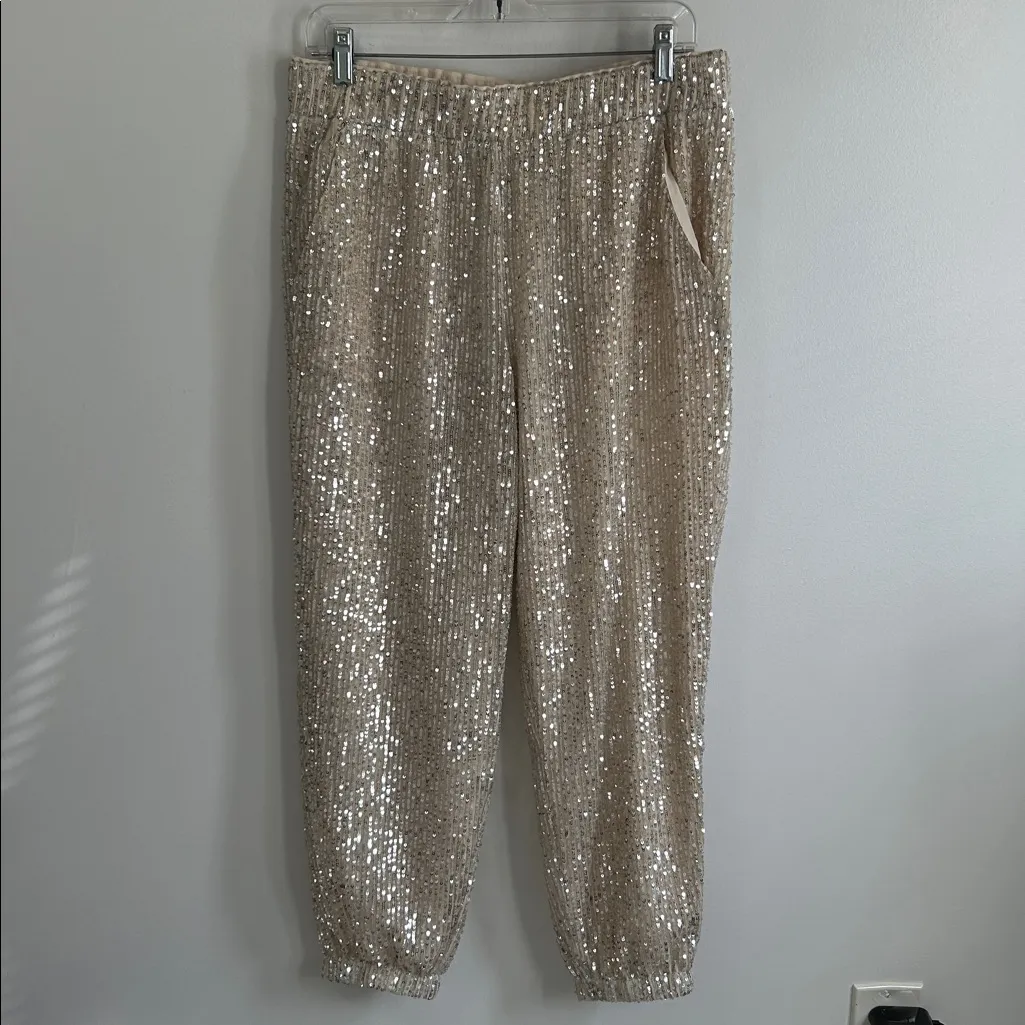 Loft Sequin Joggers Champagne - Image 4