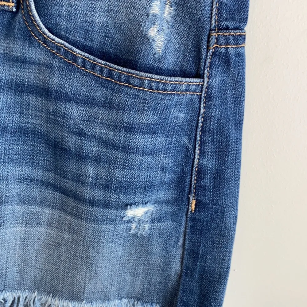 Vervet Flying Monkey Fringed Distressed Jean Shorts - Image 99