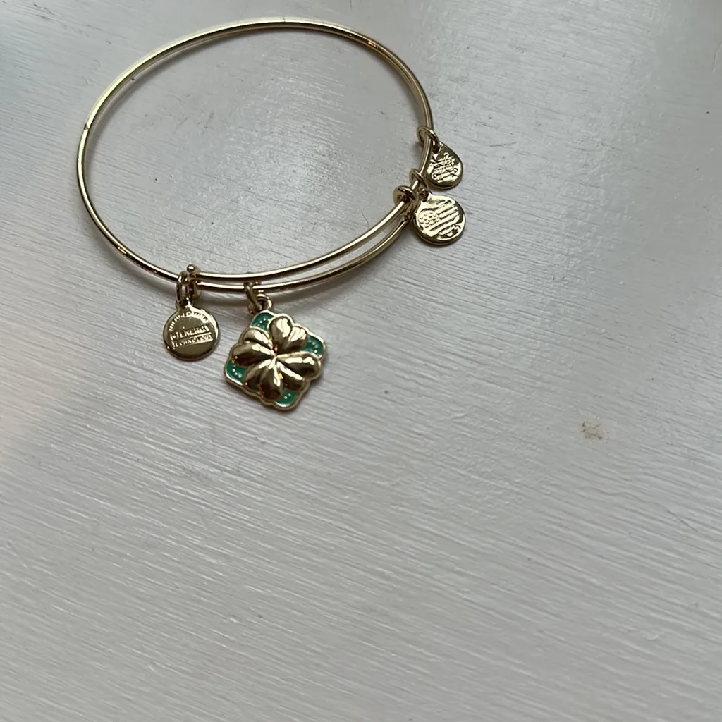 Alex and Ani “Sweet Serendipity “. NWOT - Image 2