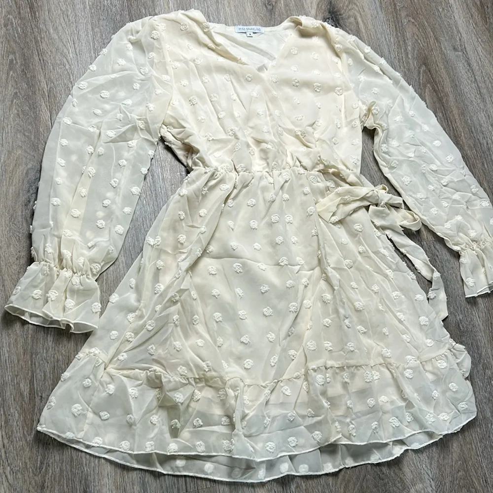 Swiss dot Dress Size Small - Image 7