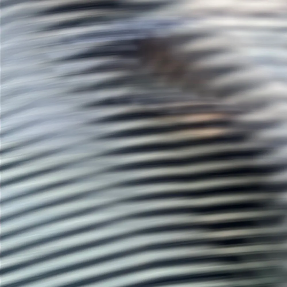 Riders by Lee Blue and White Short Sleeve Cols Shoulder Ruffled Blouse - Image 11