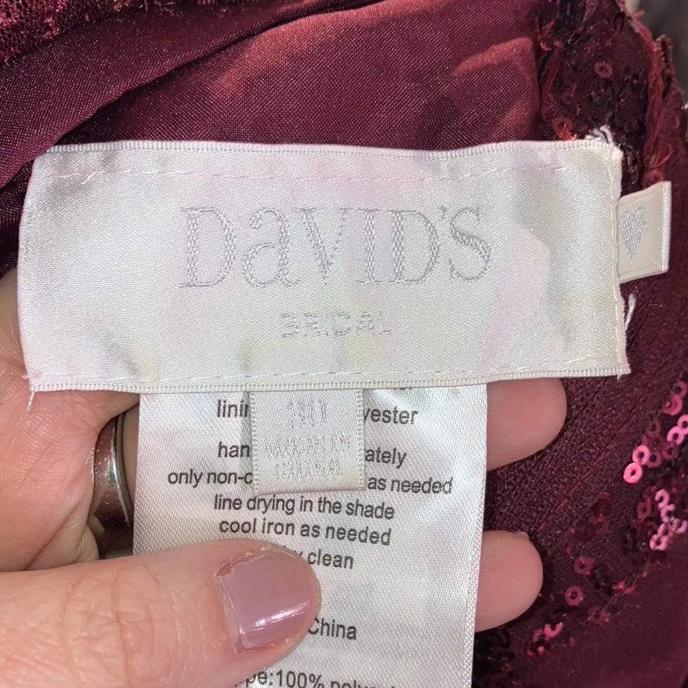 David’s Bridal Lace Dress with Long Mesh Skirt, size 30 - Image 7