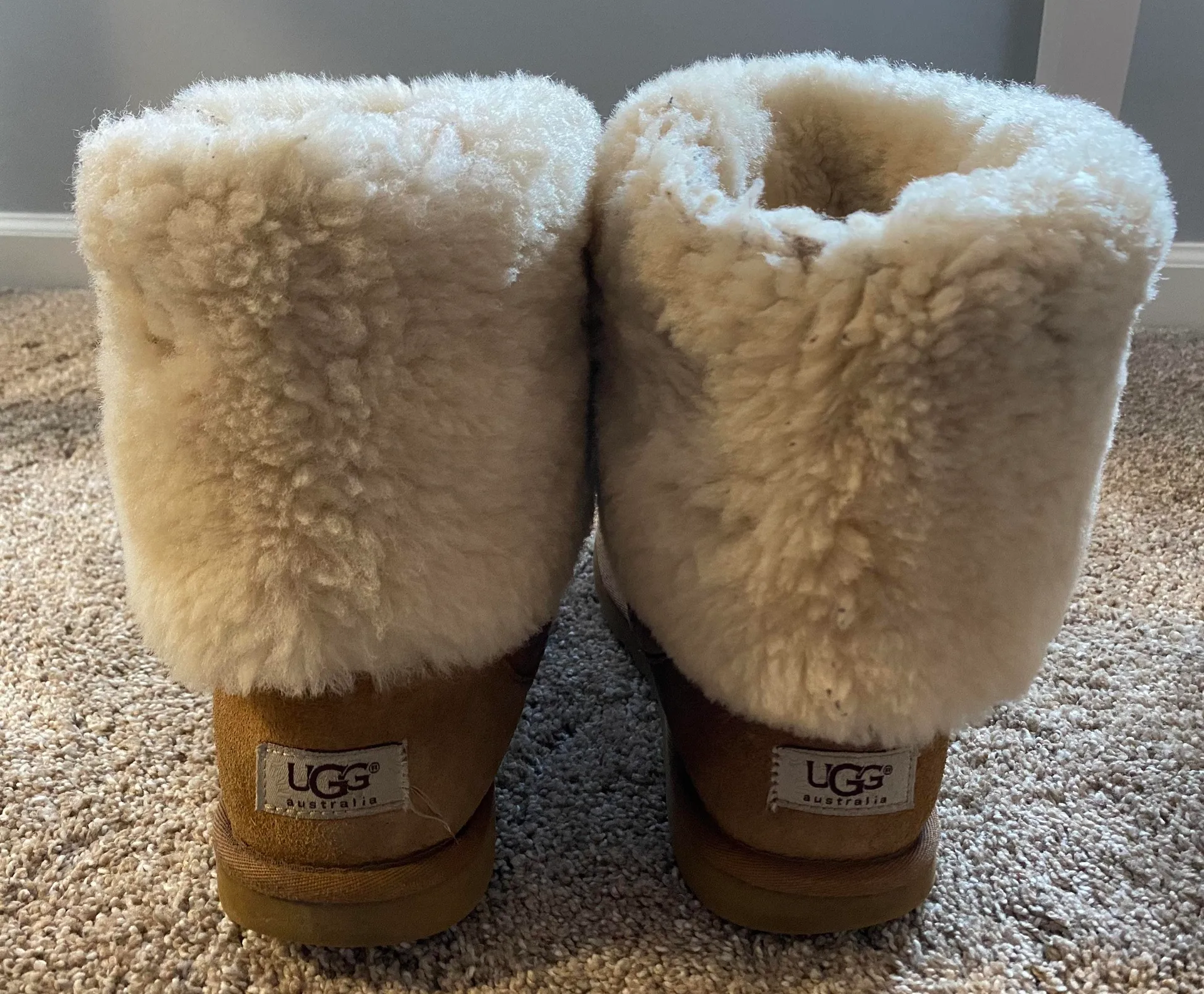 UGG Tall Boot - Image 5