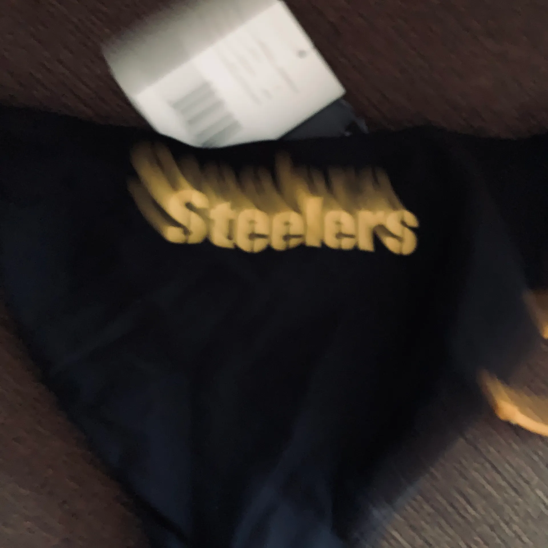 NFL Pittsburgh Steelers  Bikini Bottom - Image 5