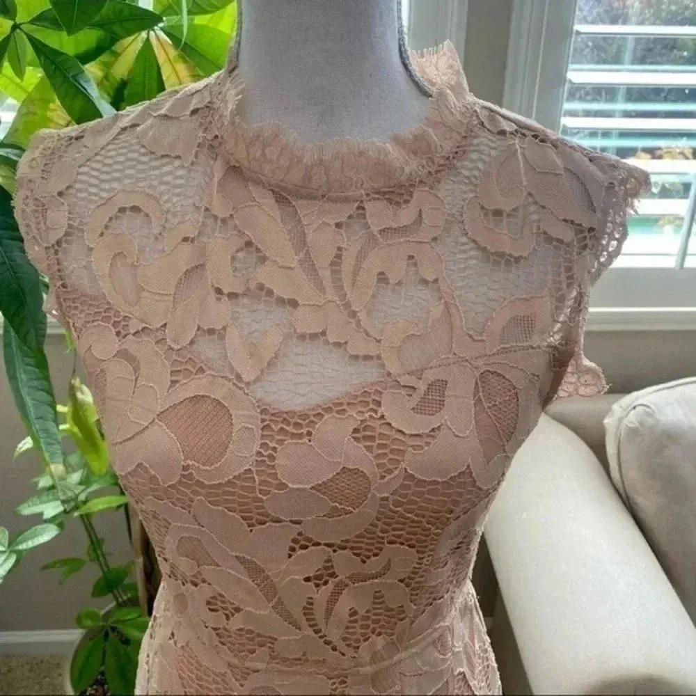 Sans Souci Lace Short sleeve beige Dress Coquette Girl Wedding Guest - Image 9