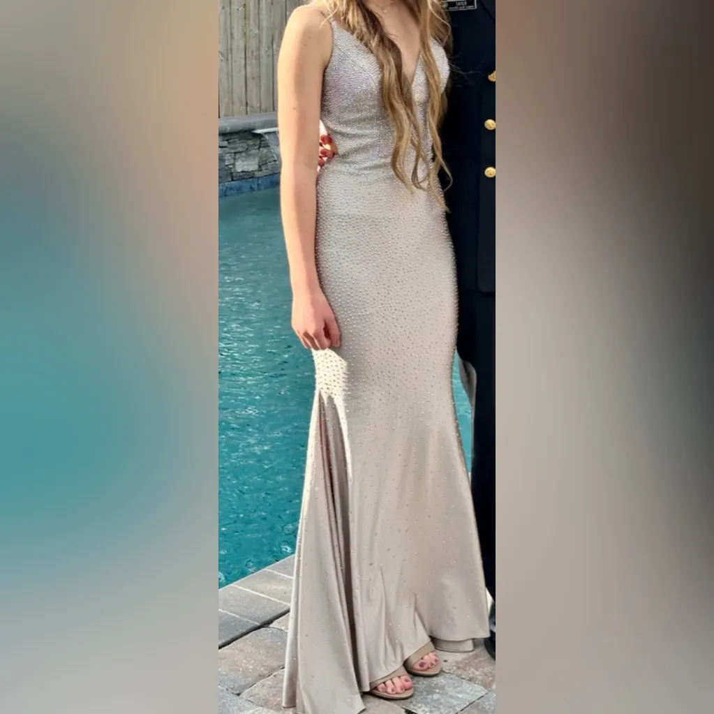 Elegant Champagne Ellie Wilde Gown - Image 4