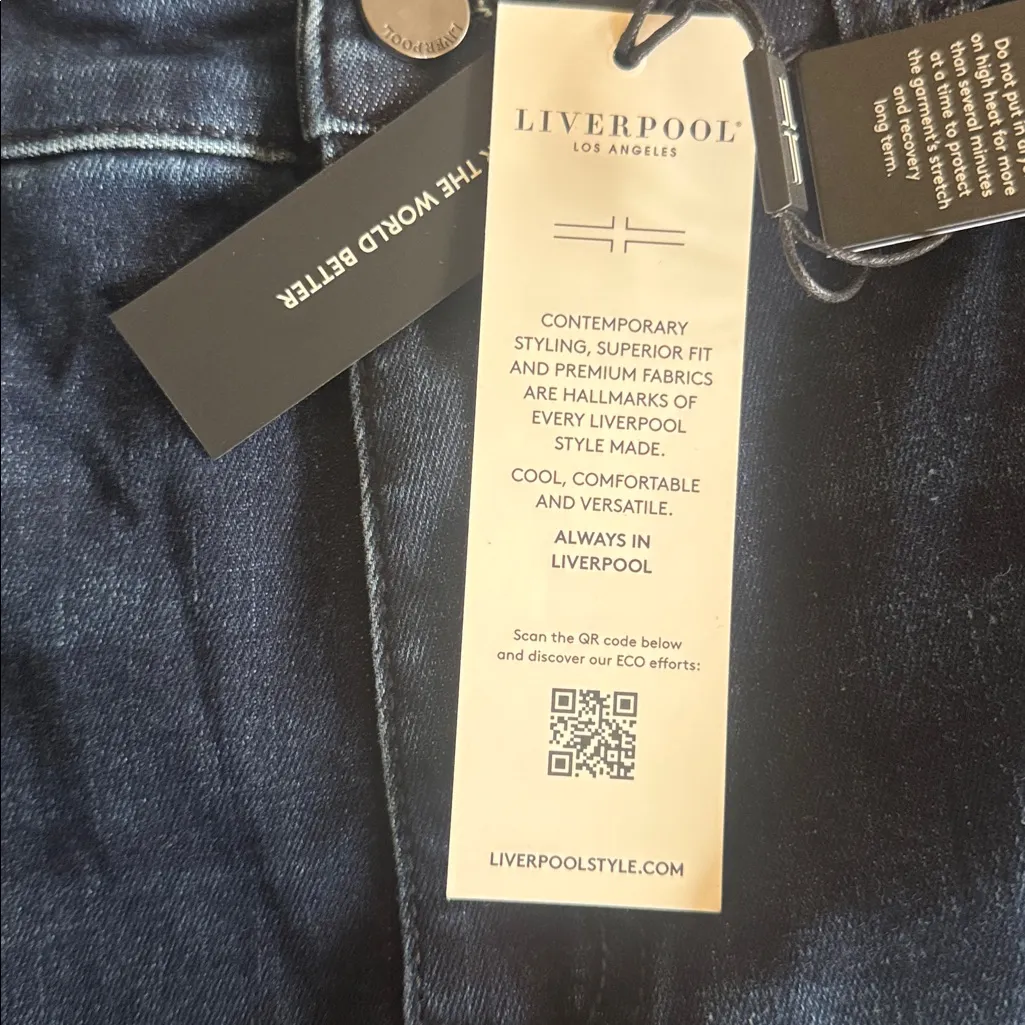 NWT Liverpool  Hannah Crop Flare with Crafty Seaming Hi-Rise Stretch Denim 12/31 - Image 9