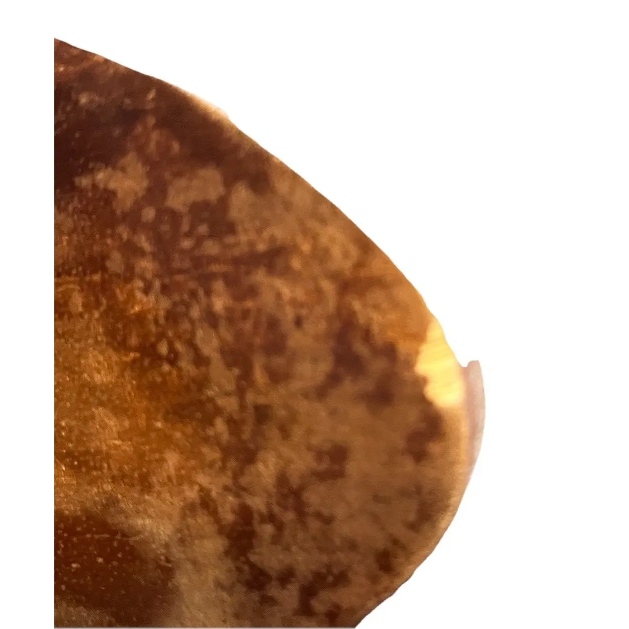 VTG 70s - Y2K MIA Brown Leather Strappy Sandals Wooden Platform Heels - Image 6