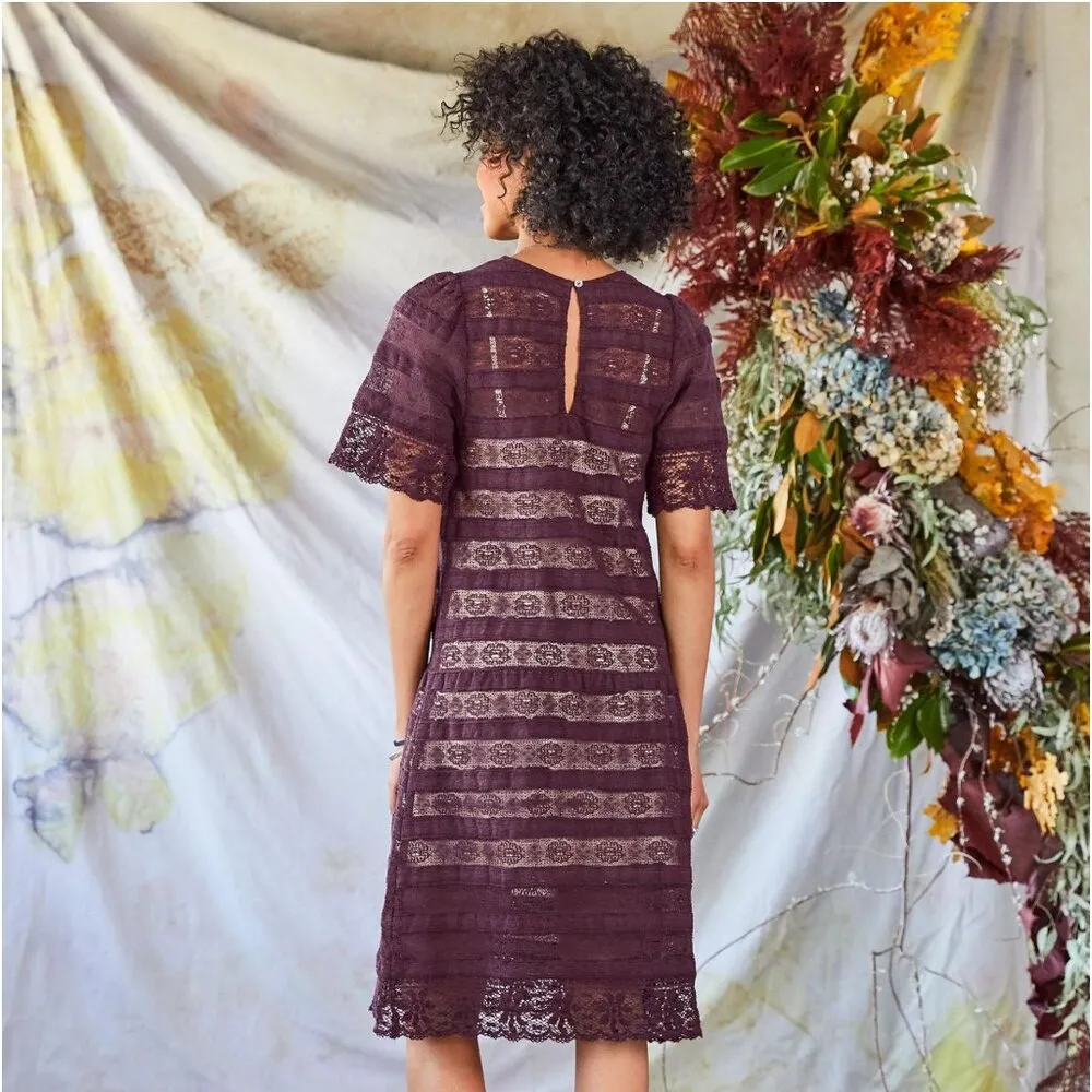 NWT Sundance Catalog Lace Lyrica Short Sleeve Aubergine Dress Petite 2 P2 - Image 2