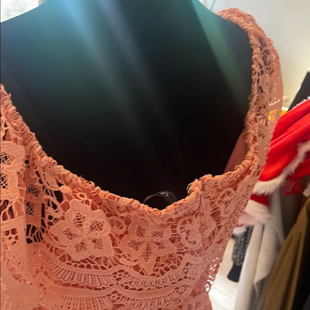 Elegant Peach Lace Dress - Image 3
