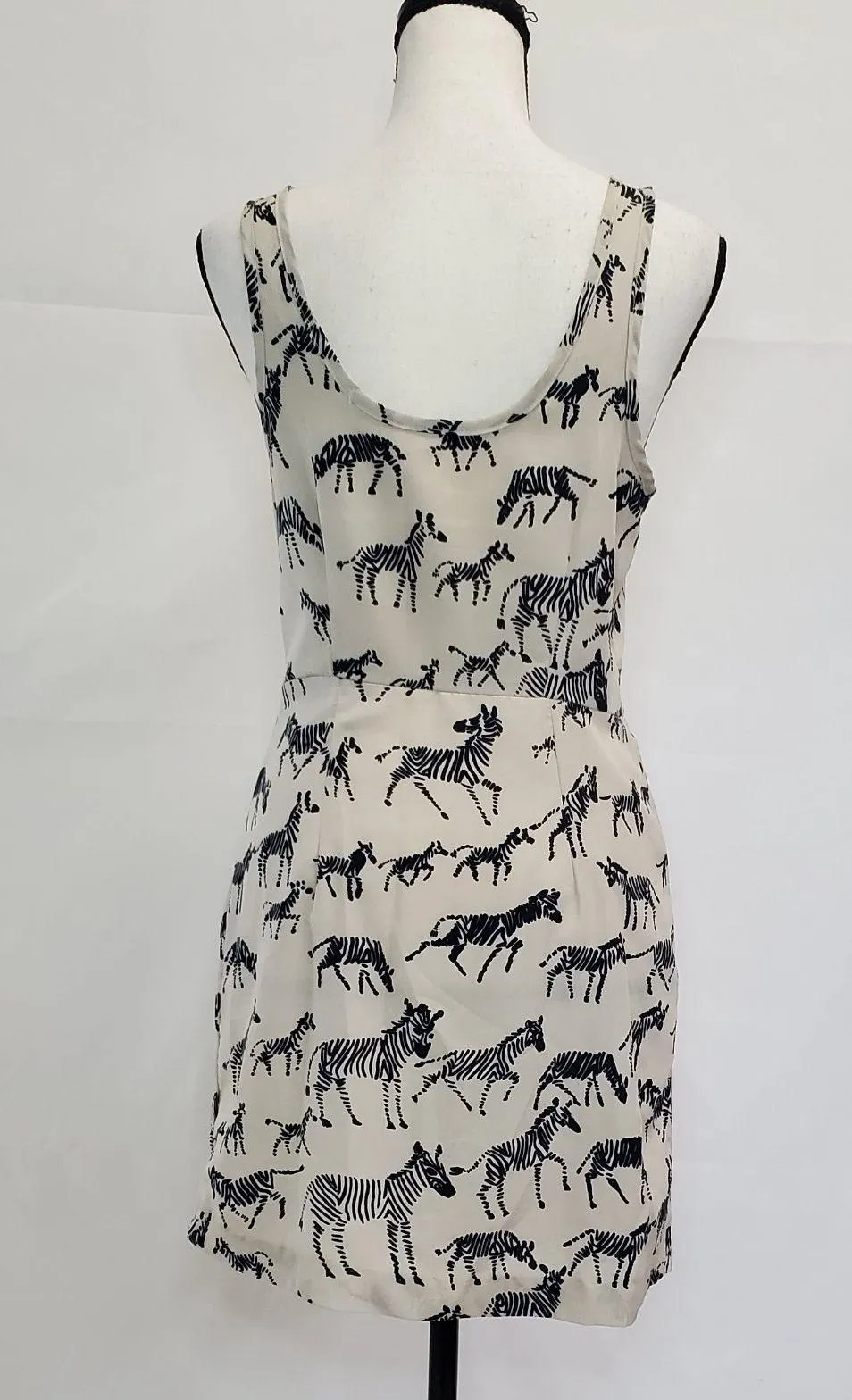 Peppermint Zebra Dress With Pockets - Image 2