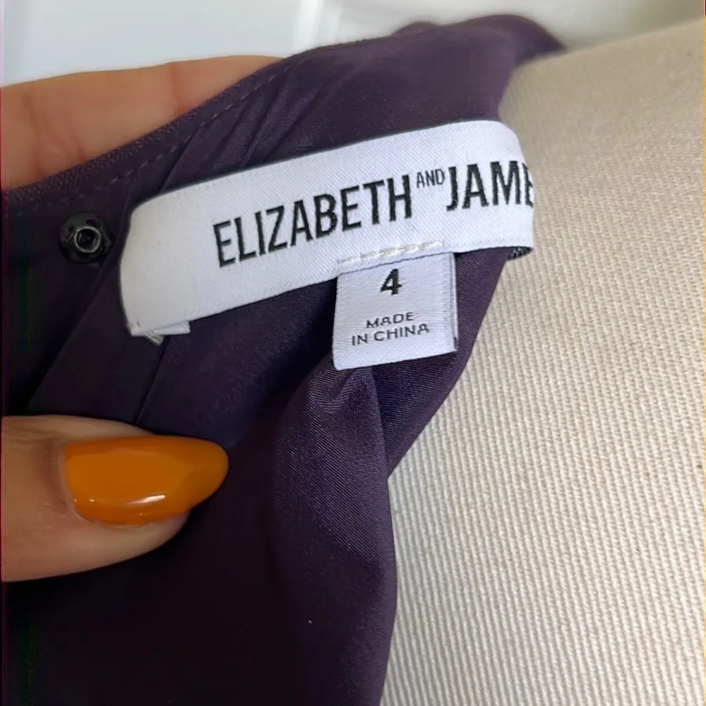 Elizabeth & James Plum Christine Mini Dress - Image 6