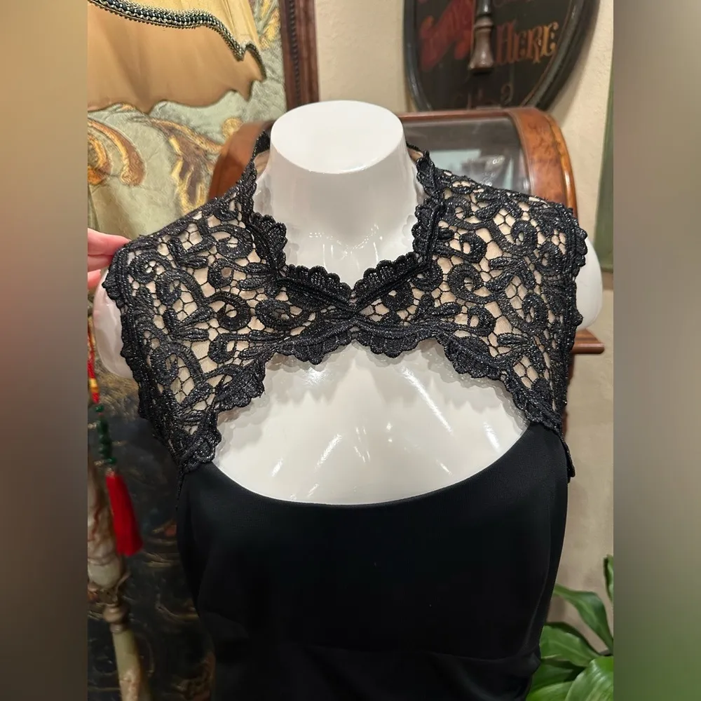 Alex Evenings Black Lace Sleeveless Long Gown Maxi Dress - Image 4