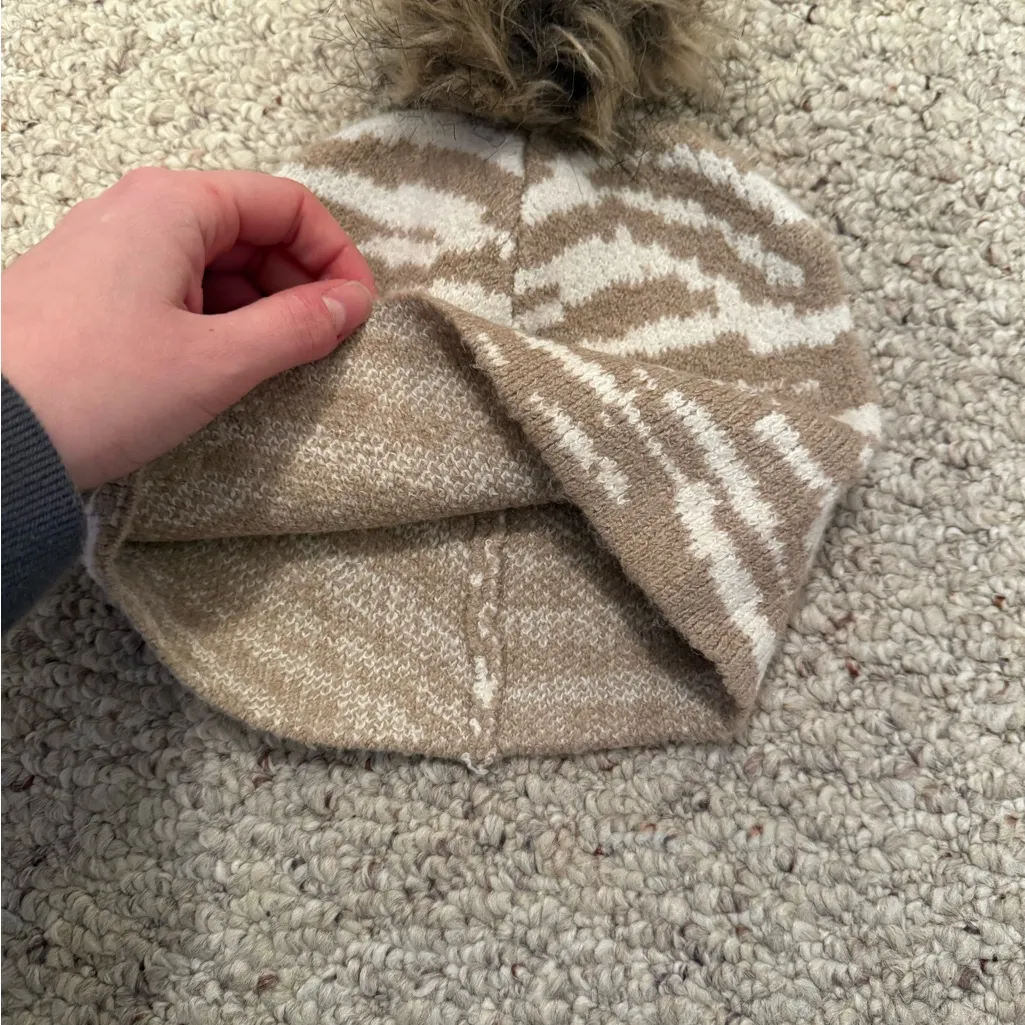 Tan and White Pom - Image 2