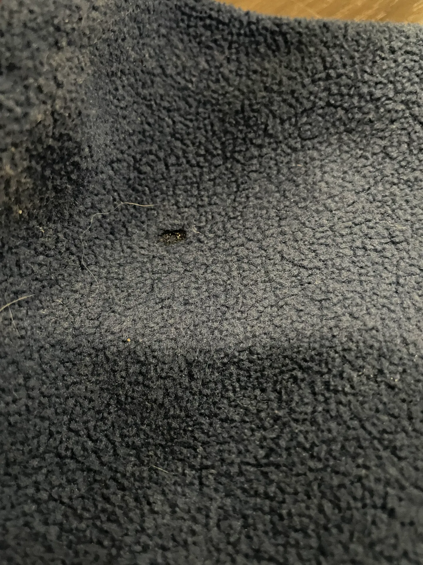 Patagonia Pullover - Image 8