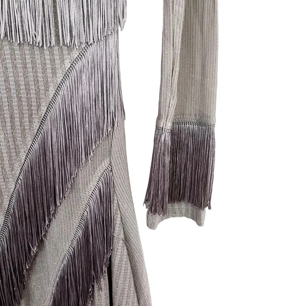 Save The Queen Long Sleeve Metallic Stripe Fringe Dress Greige Women's Small - Image 3