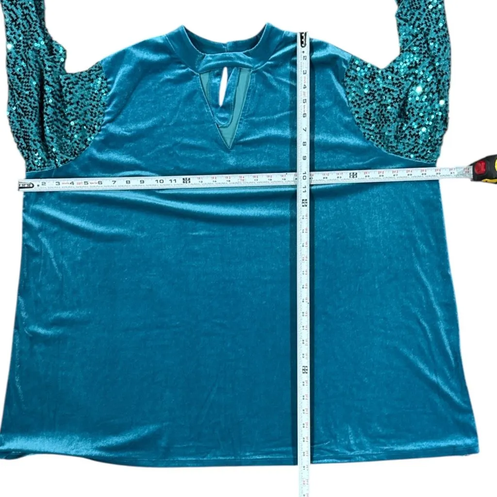 NEW Blue Sequined Velvet Long Sleeve Elegant Dress Womens Plus Size 26/28 Roaman - Image 8