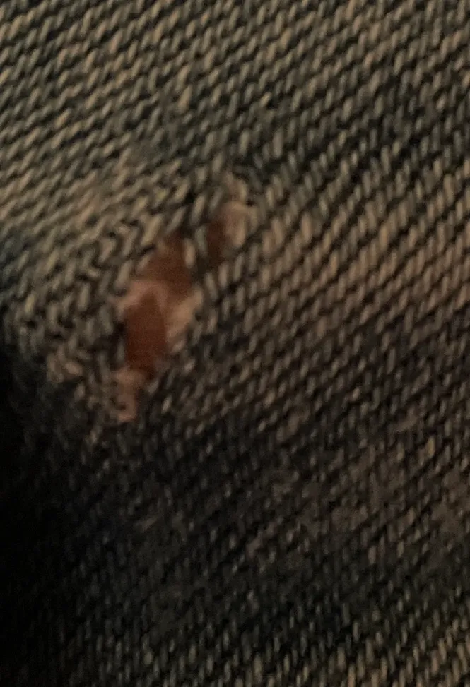 Abercrombie and Fitch Curve Love Ankle Straight Jeans  - Image 8