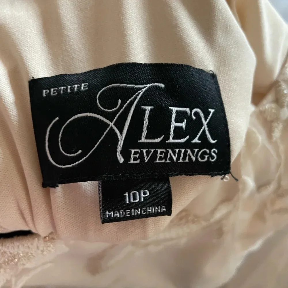 Alex Evenings Round Neck 3/4 Sleeve Floral Embroidered Stretch Mesh Dress Sz 10P - Image 9