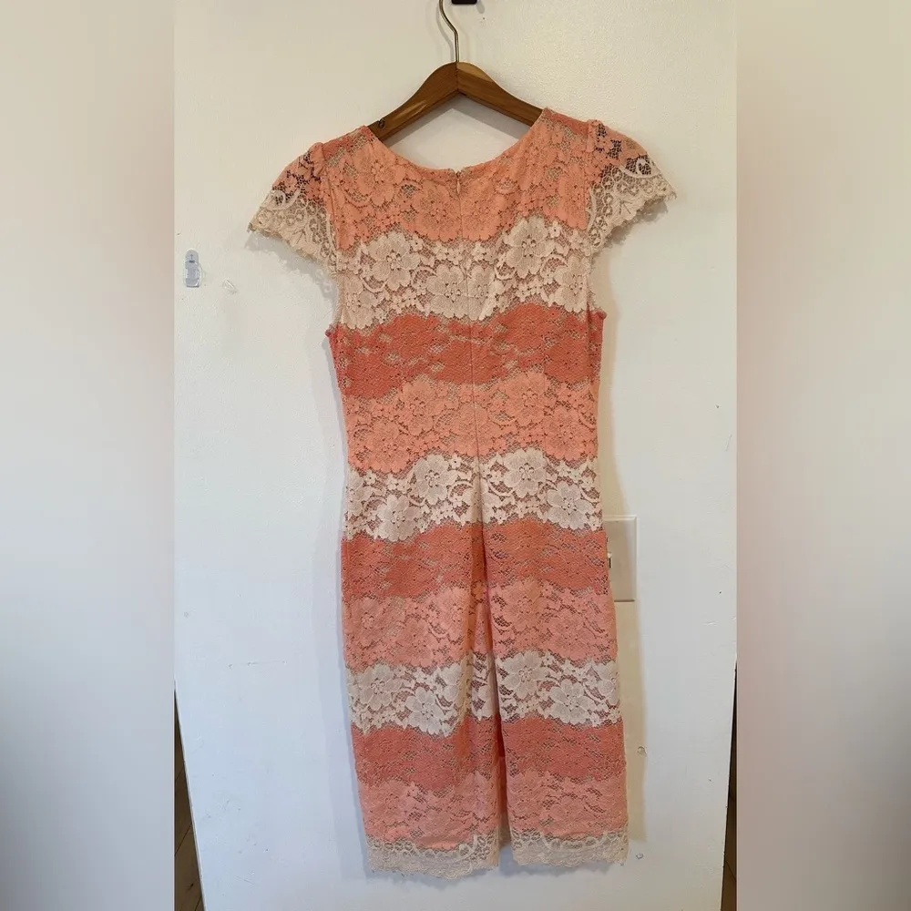 Erin Fetherston Lace Stripes Pencil Sheath Dress Pink Coral Women Size 2 Wedding - Image 9